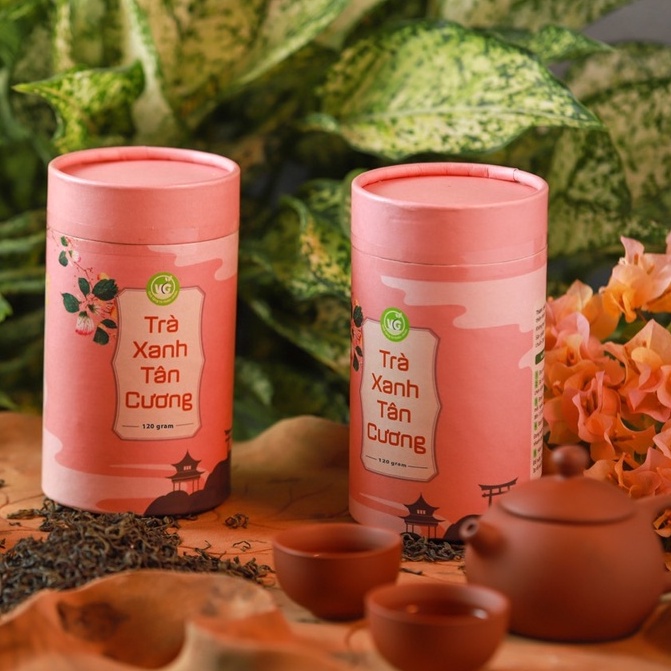 Trà Xanh Tân Cương [FREESHIP] Chè Xanh Tăng Cường Tập Trung, Ổn Định Huyết Áp, Hỗ Trợ Tiêu Đốt Mỡ Thừa, Giảm Cholesterol