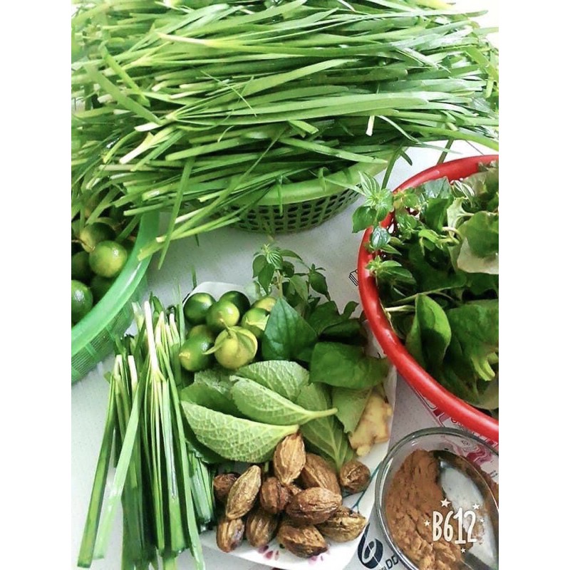 SIRO HO QUẤT HÚNG CHANH ĐƯỜNG PHÈN HANDMADE