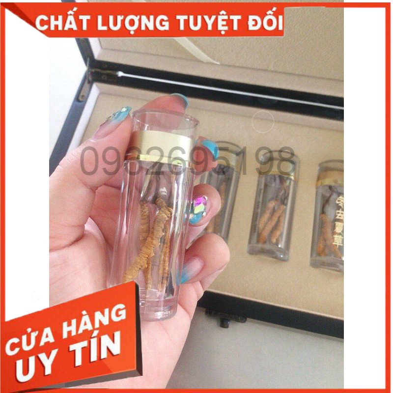 Đông Trùng Hạ Thảo Tây Tạng Nguyên Con Ống 5 con / 1gam