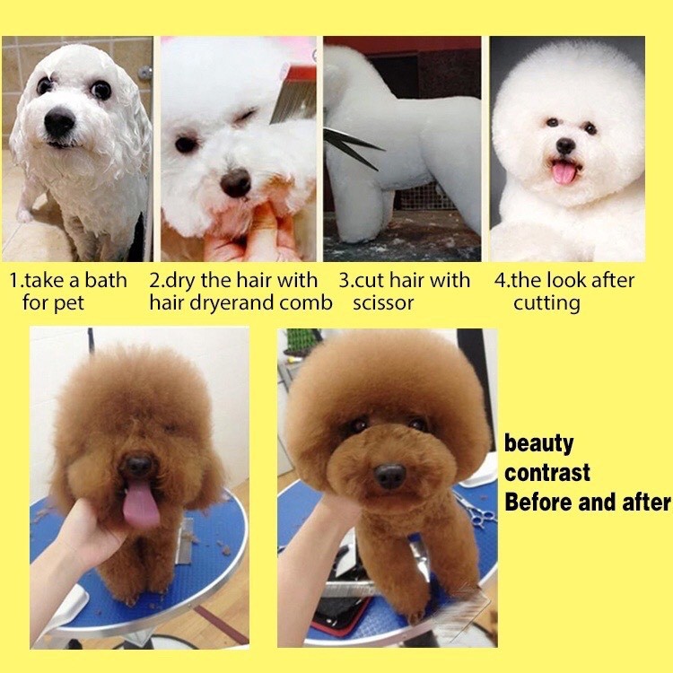 Kéo Tỉa Lông Cao Cấp Cho Thú Cưng - Gia Huy Pet Shop