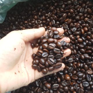 Combo 3 kg cà phê hạt nguyên chất Robusta rang bơ