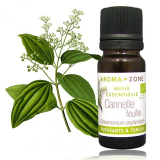 [AROMAZONE]-Tinh dầu lá quế CANNELLE DE CEYLAN FEUILLES BIO