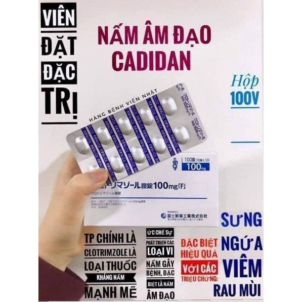 hộp đựng nấm elcido nhật bản