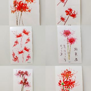 Hình xăm hoa Bỉ ngạn