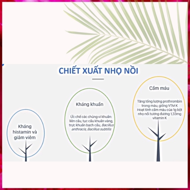 [CAO CẤP-KHÔNG ĐỘC] Kem Đánh Răng Trẻ Em An Toàn Nhất Cho Bé, Chống Sâu răng, Ngăn Mảng Bám Chảy Máu Chân Răng Hôi Miệng