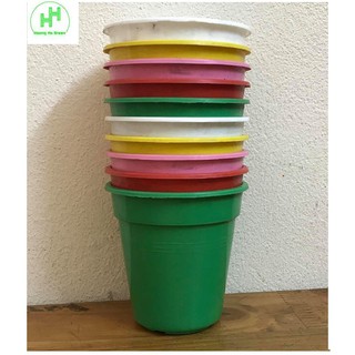 Combo 10 Chậu Nhựa Trồng Cây Mini Hình Tròn Nhiều Màu Siêu Đẹp Kích Thước  8x8x8 Cm