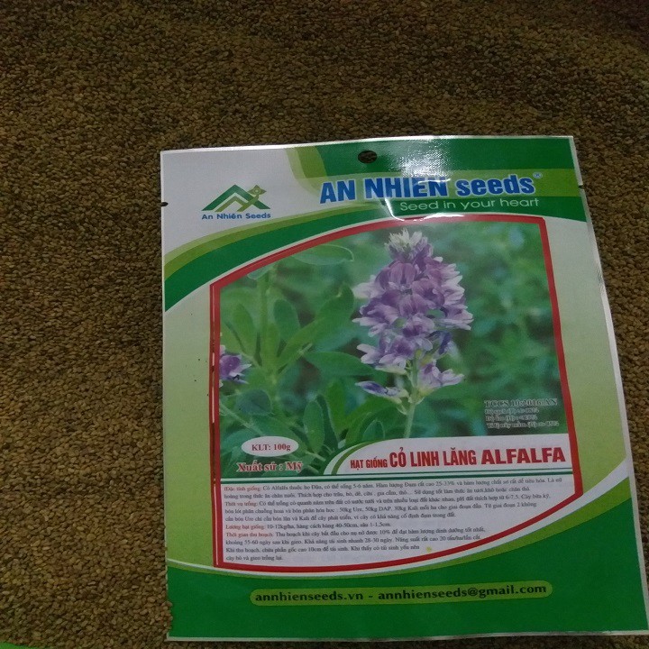 Hạt giống cỏ chăn nuôi ALFALFA 100g ( Linh lăng)