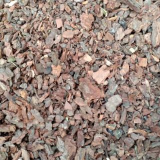 (giá rẻ) VỎ THÔNG (ươm kei, trồng lan, rải chậu) 400-500gram