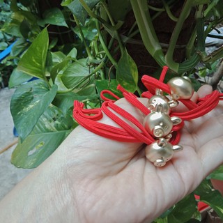 Cột Tóc Heo Dễ Thương