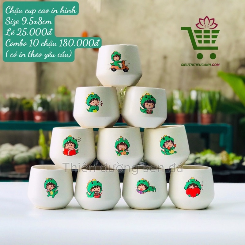 CHẬU SỨ CAO CẤP IN HÌNH DỄ THƯƠNG, THEO YÊU CẦU TRỐNG SEN ĐÁ, XƯƠNG RỒNG
