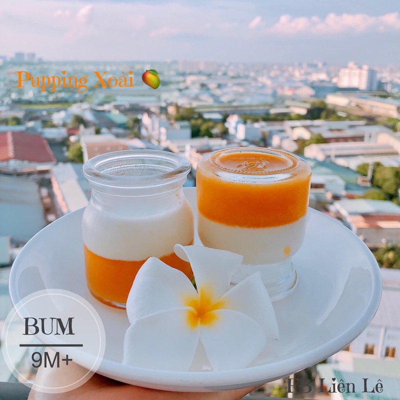 Bột hữu cơ làm bánh cho bé/ bột mì, bắp, năng, gelatin, pudding, nếp, nở, men nở, đường