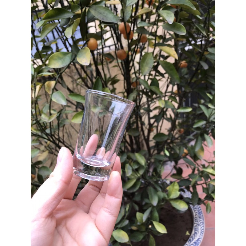 Bộ gồm 12 chiếc ly  rượu shot dung tích 50ml