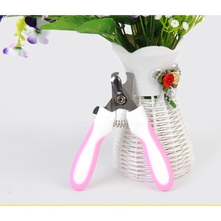 Kềm cắt móng tay chân cho thú cưng