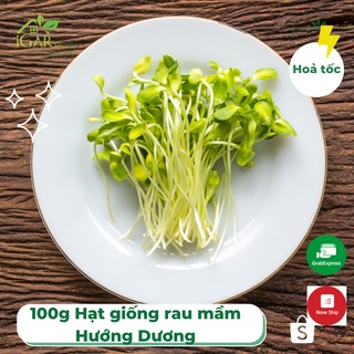 100 gram Hạt giống rau mầm Hướng Dương