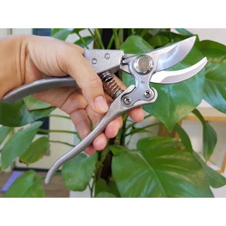 Kéo cắt cành Nhật Bản mỏ cong sắc bén - VT - K223 ( HÀNG XỊN )