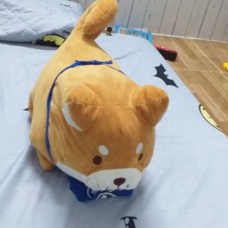Gấu bông chó shiba