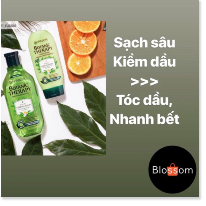 [Mã giảm giá mỹ phẩm chính hãng] Bộ dầu gội kiềm dầu Tea tree Botanic Therapy GARNIER