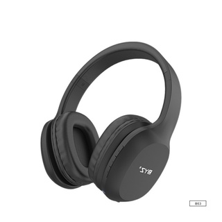 [ MIỄN PHÍ VẬN CHUYỂN] Tai Nghe bluetooth Byz B53
