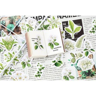 Bộ 46 Sticker Cây Cỏ Hàn Quốc dán trang trí E68
