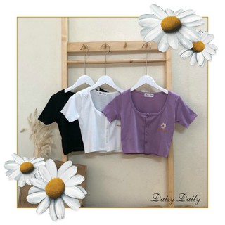 Áo croptop Cúc họa mi Daisy cộc tay 3 màu, chất mát, siêu dễ phối đồ