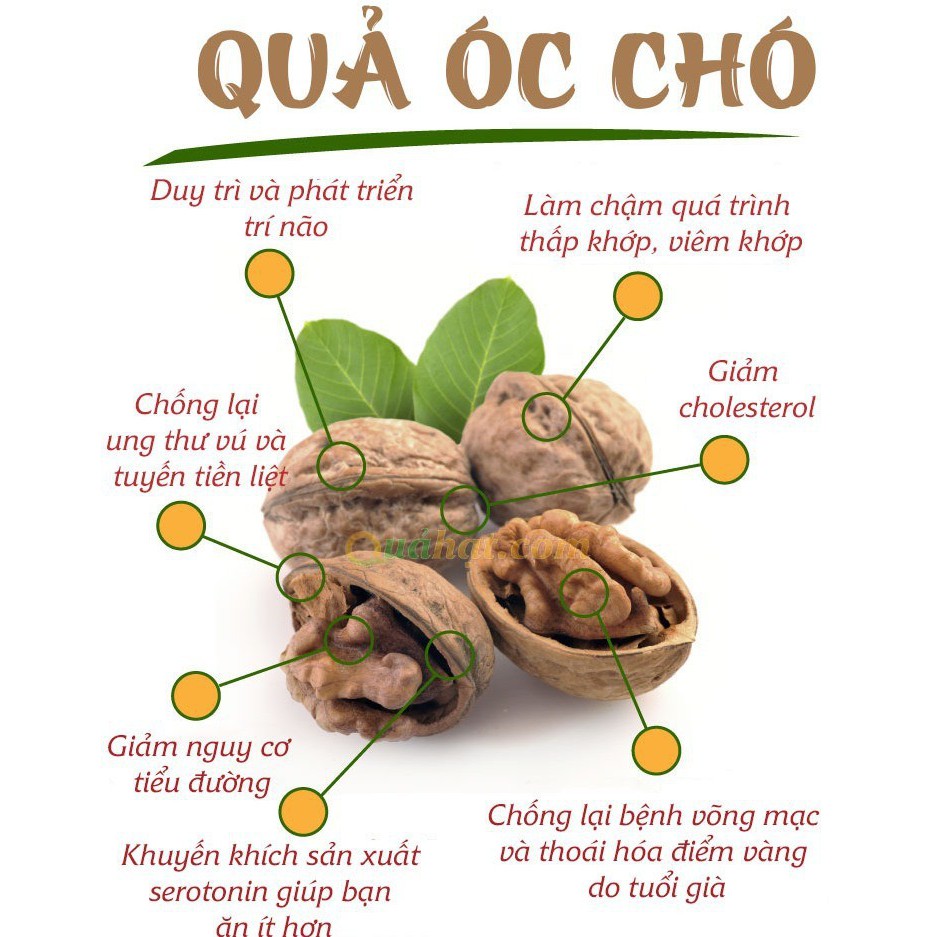 Quả óc chó 1kg