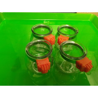 Combo 4 Cóng ăn thủy tinh dành cho tất cả các loại chim