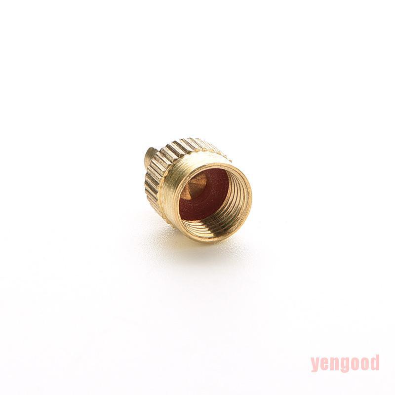 Set 10 nắp van hơi kim loại đầu có chức năng tháo lõi van