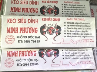 Keo bẫy chuột siêu dính