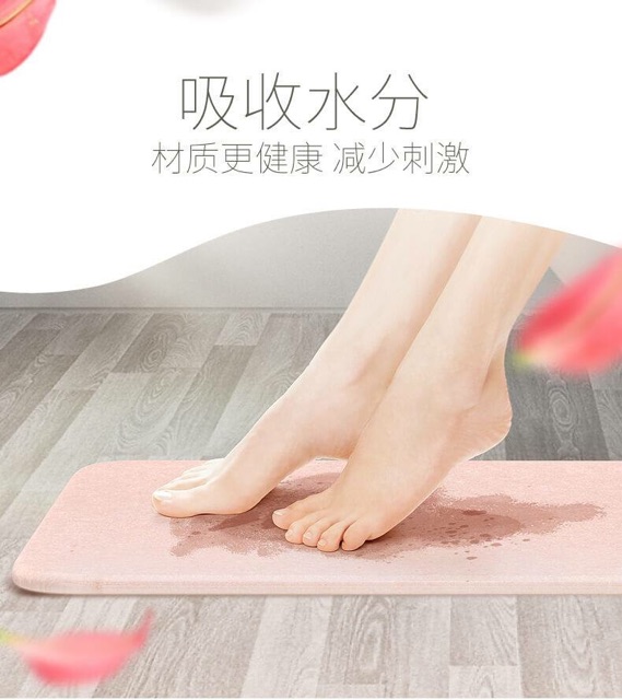 Thảm lau chân công nghệ Nhật Bản siêu thấm hút loại 60*39cm