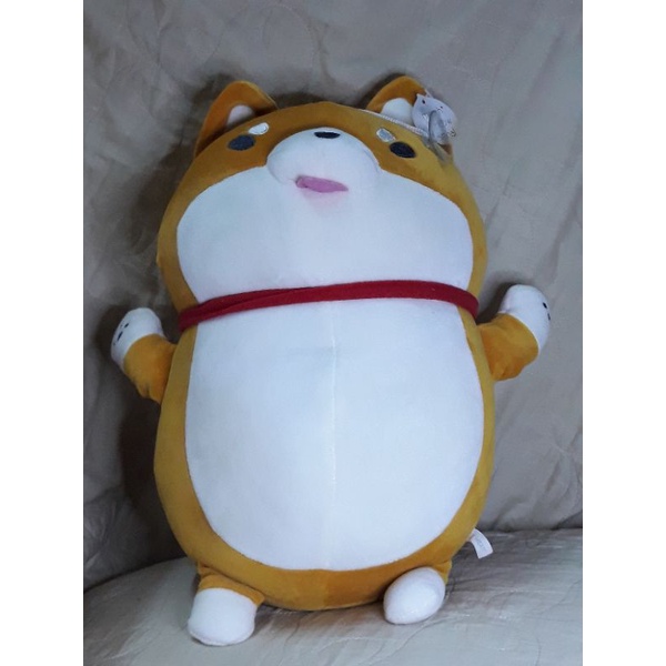 Gấu bông shiba