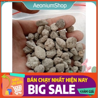 250Gr Đá Pumice Trồng Sen Đá, Xương Rồng Cực Xịn 💁