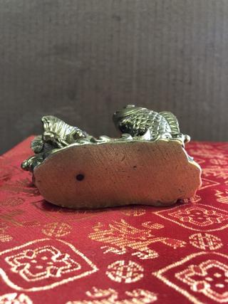 Cá vượt vũ môn bằng đồng đặc