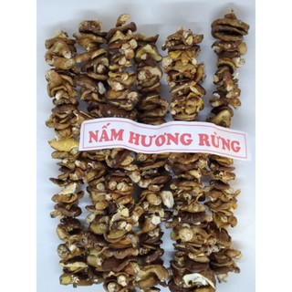 Nấm hương rừng