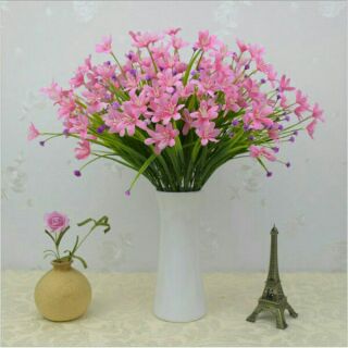 Hoa thuỷ tiên loai đẹp