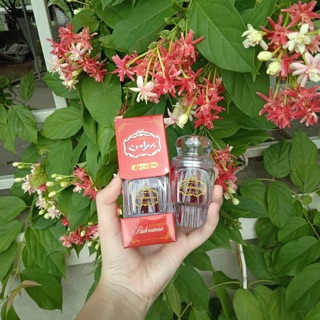 Nhuỵ Hoa Nghệ Tây Saffron