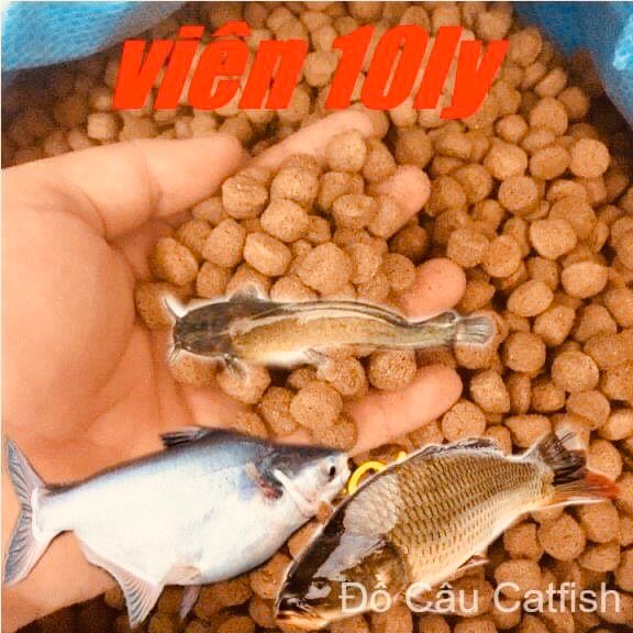 GÓI 1KG THỨC ĂN CÁ KIỂNG ĐẠM CAO 7 MÀU,CHÉP,KOI,3 ĐUÔI,BETA-CÁM CÁ KIỂNG-CÁM CÁ KOI