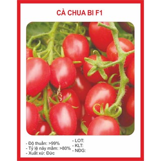 [HẠT GIỐNG GREEN] Hạt giống Cà Chua Bi Nhót 30 Hạt