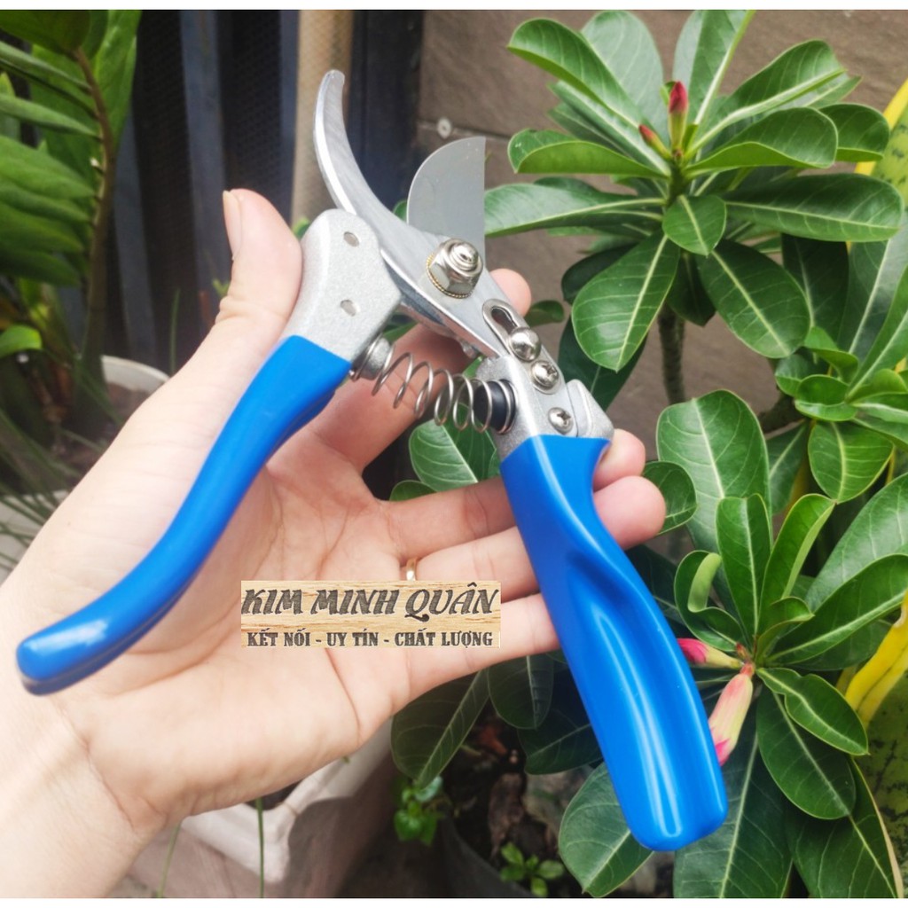 Kéo Cắt Cành Cán Trợ Lực Cao Cấp 200mm/8" A0058-08 CMART