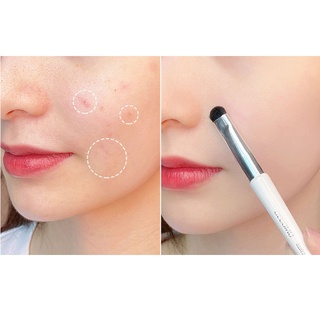 Cọ môi và che khuyết điểm GECOMO
