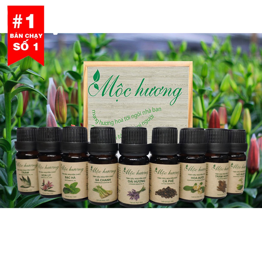 Combo 4 CHAI TINH DẦU  GỒM XÔNG HƠI SPA