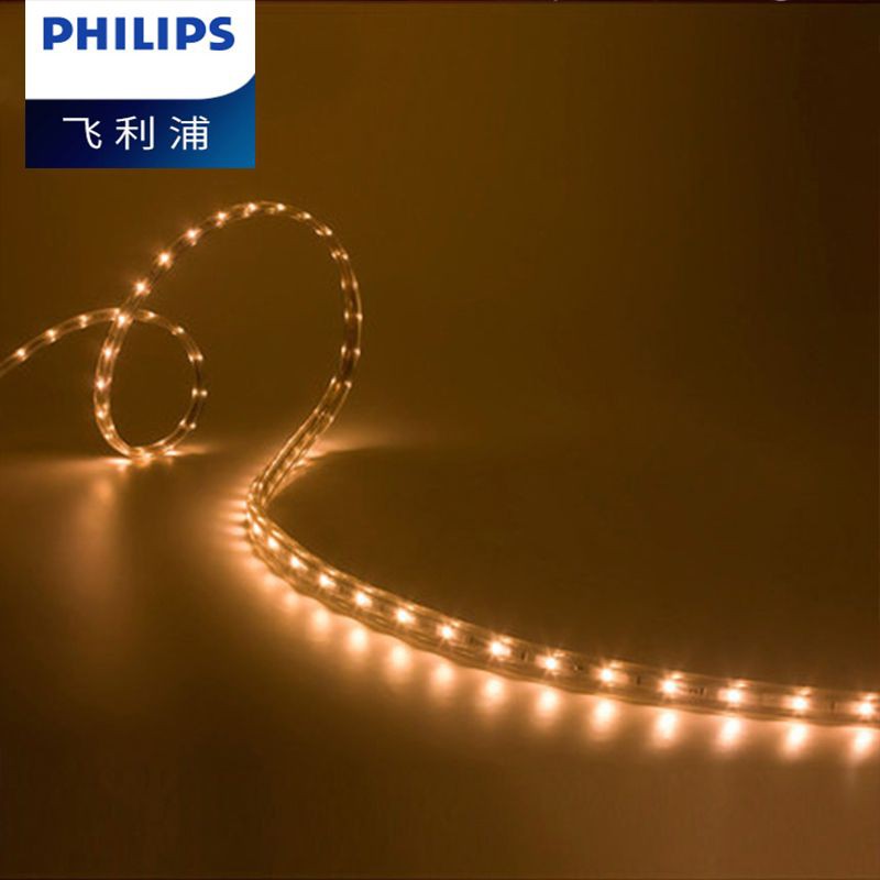 Dây led, đèn trang trí, đèn hắt chiếu sáng, đèn ngoài trời Philips 31161 6.8w
