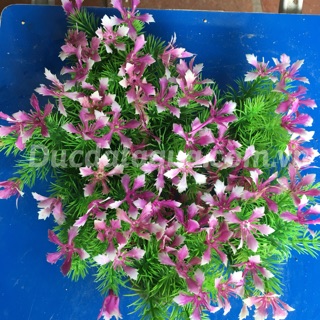Cây hoa cỏ nhựa cao cấp