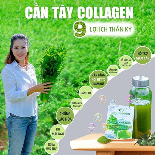 Bột Cần Tây Collagen - Hổ Trợ Giảm Cân - Đẹp Da | BigBuy360 - bigbuy360.vn