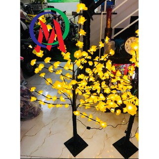 cây hoa mai vàng cắm điện 1m2