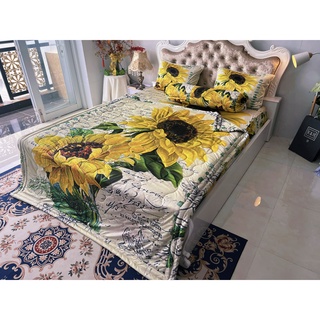 Bộ drap thun lạnh ý 5D cao cấp