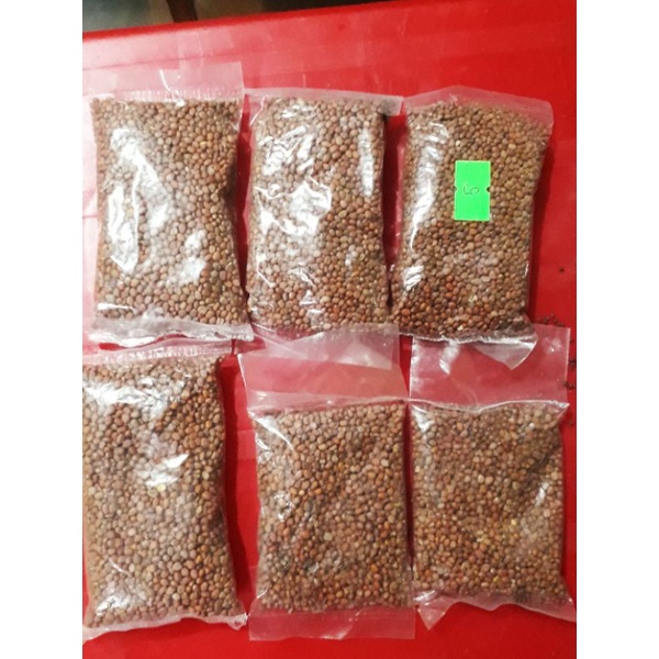 Hạt giống rau cải xanh