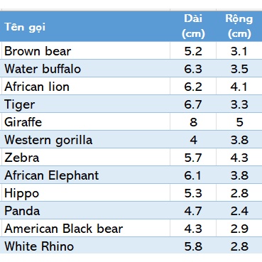 Mô hình động vật: Bộ Hoang Dã