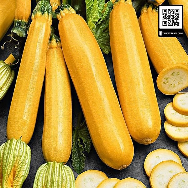 Hạt giống bí ngồi vàng - Gói 1g (10-15 hạt)