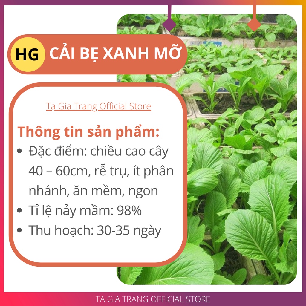 [Bán sỉ] - Hạt giống rau cải bẹ xanh mỡ