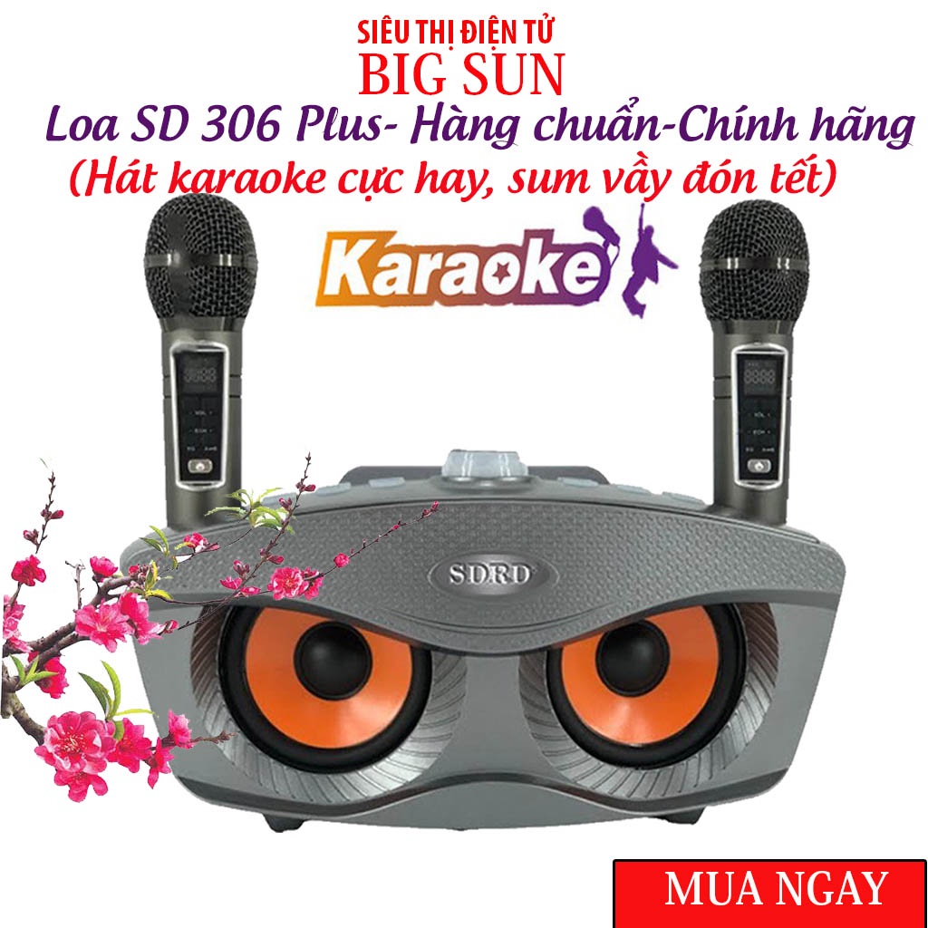 Loa karaoke bluetooth SD 306 Plus, Loa mắt cú, phiên bản cao cấp của SD 306, tặng kèm 2 mic xách tay đi du lịch cực chất